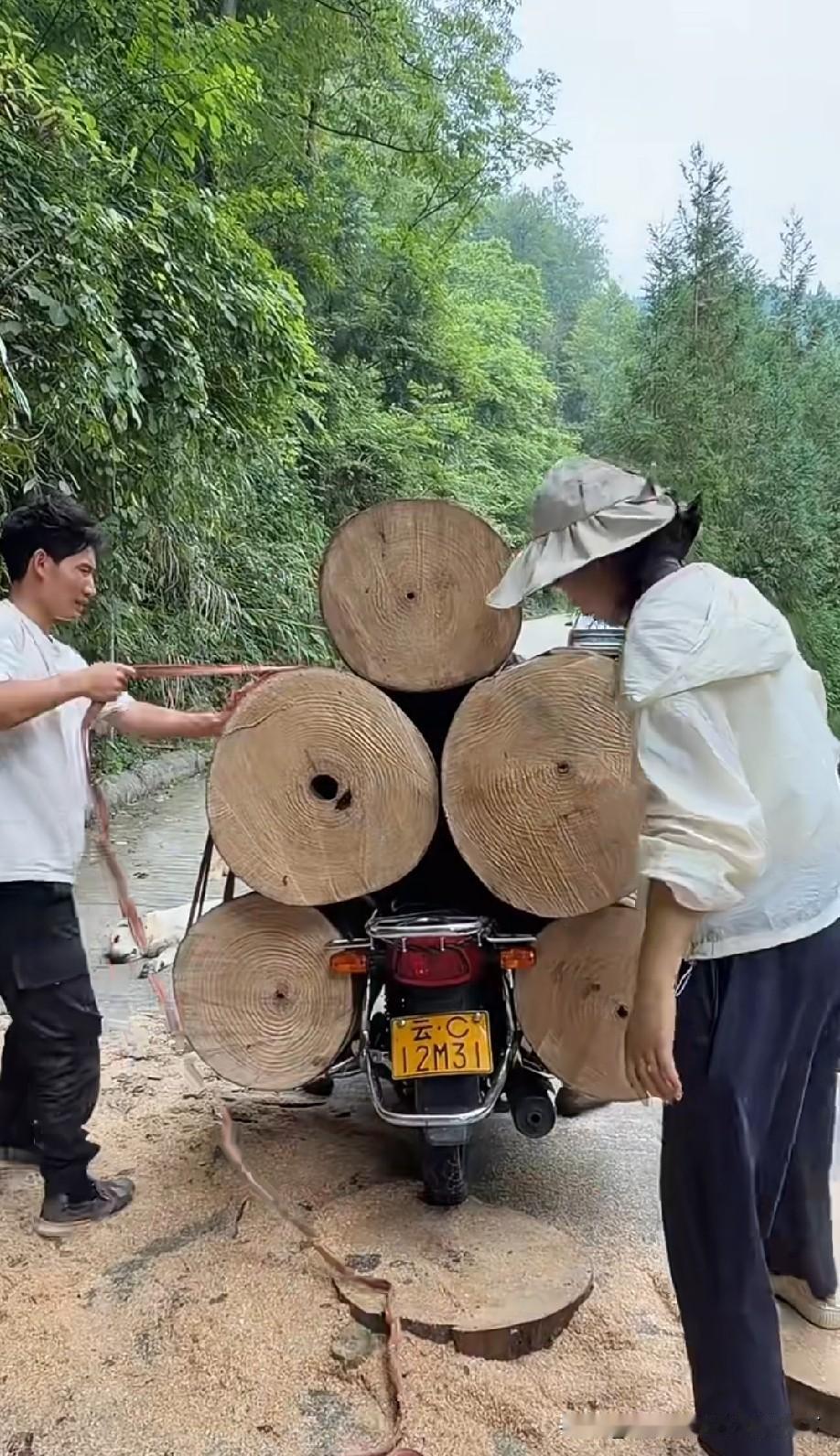 这木头应该不会太重，不然车前轻后重，根本没法开，而且这还是上坡！