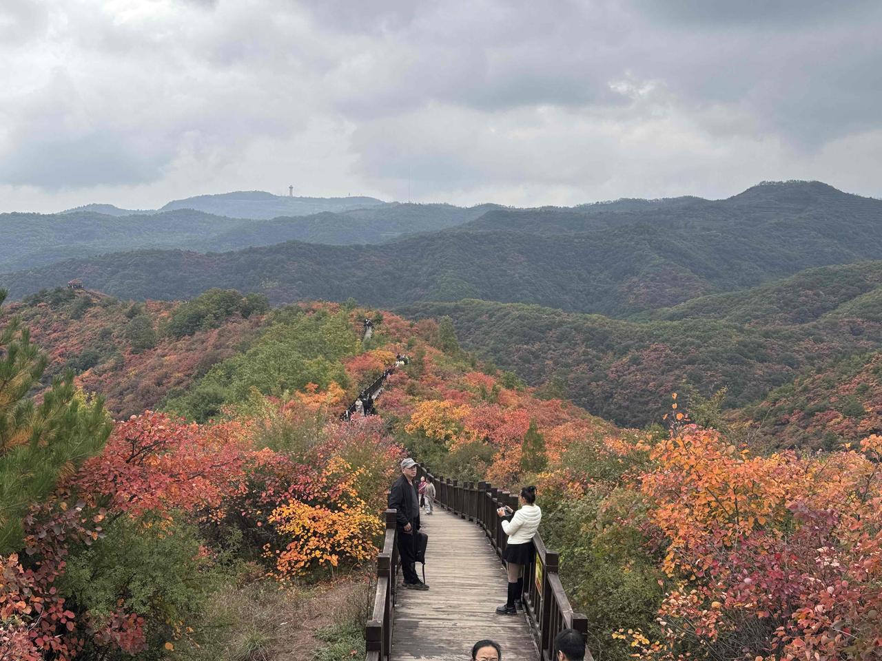 层林尽染，满山红遍！