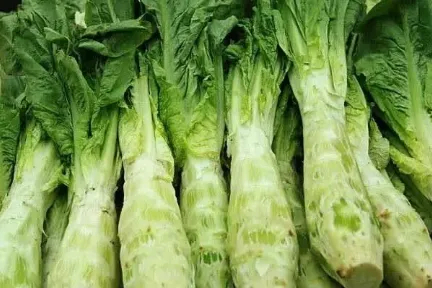 路过的各位友邻，请教一下在你们当地方言里。图中这个植物的名称叫什么？我这边方言里
