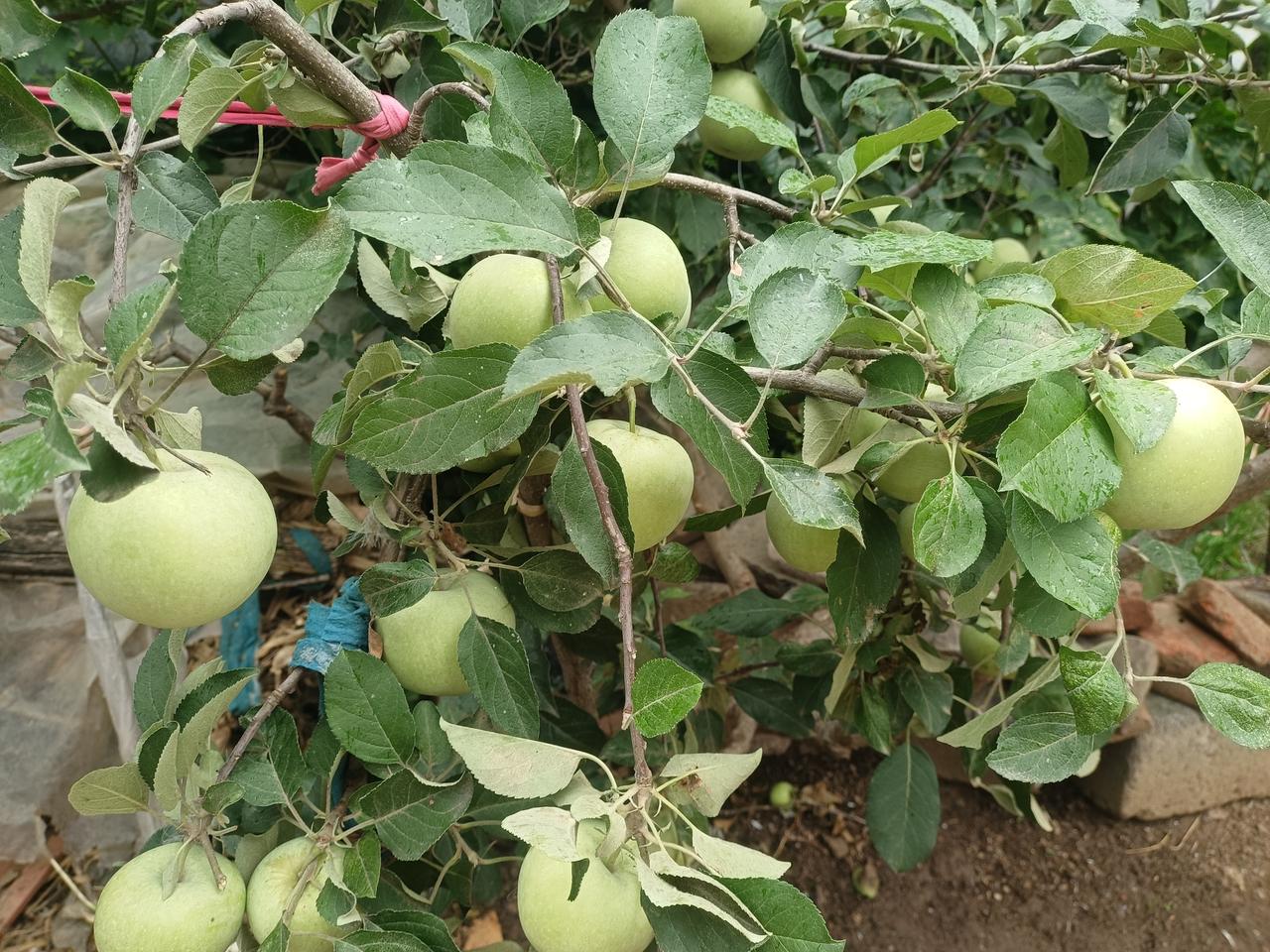 说个小秘密，
先做好肩与胯合，
其它的合就好做了，
两者相合就像拉弓，
一拉功立