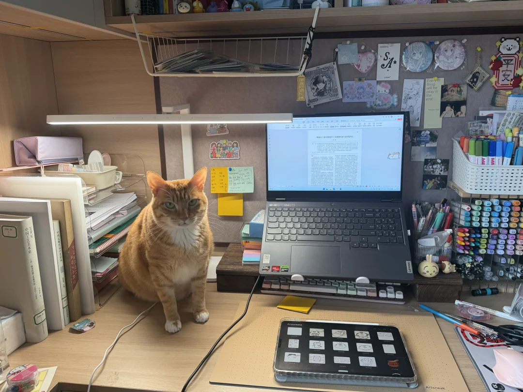 咪每天就这样捣如乱