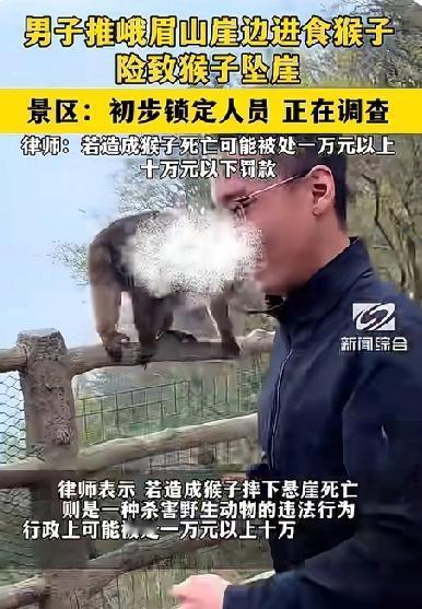 人品不行！峨眉山猴子在崖边进食时被男子一把猛推，景区通报列入黑名单

5月4日下