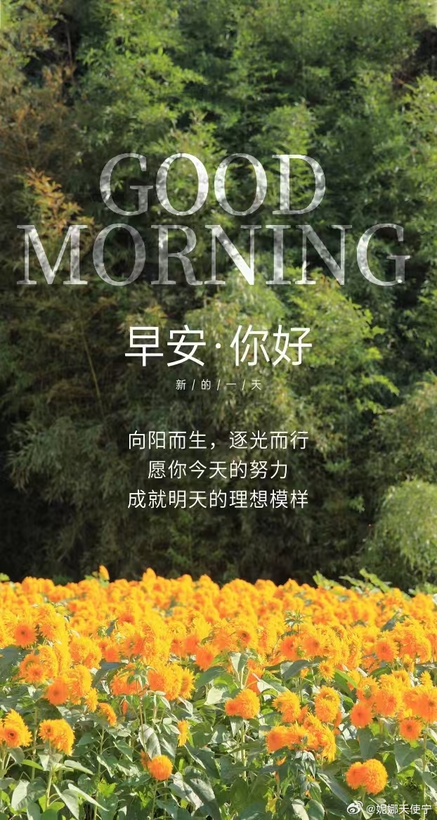 早安…… 