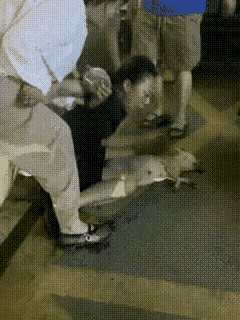 死了一条狗，甚比死了爹娘，悲痛欲绝！
 （图片来自头条）