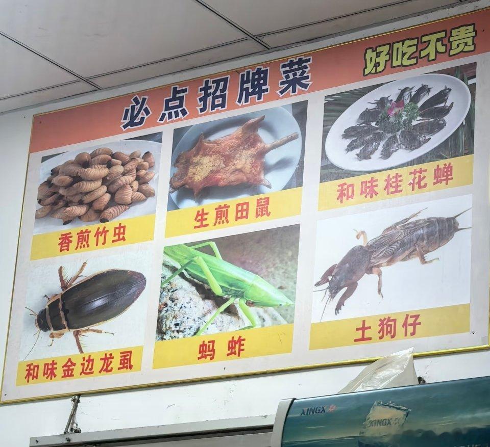 必点招牌菜，好吃不贵系列你们吃过图片上的招牌菜吗？我难以接受！ 