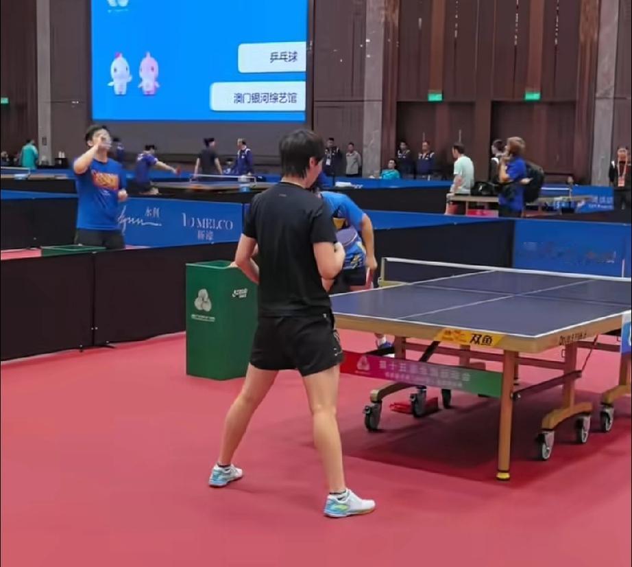 澳门全运会乒乓球项目比赛，没想到比赛期间训练，竟然也有樊振东和王曼昱两个卫冕冠军