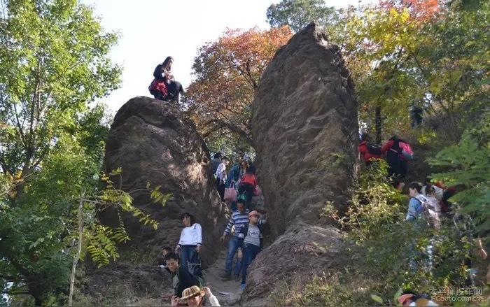 🍁想自驾去香山？先看这里！彩叶节高峰日香山路以西不让社会车辆进！自驾路线到香泉