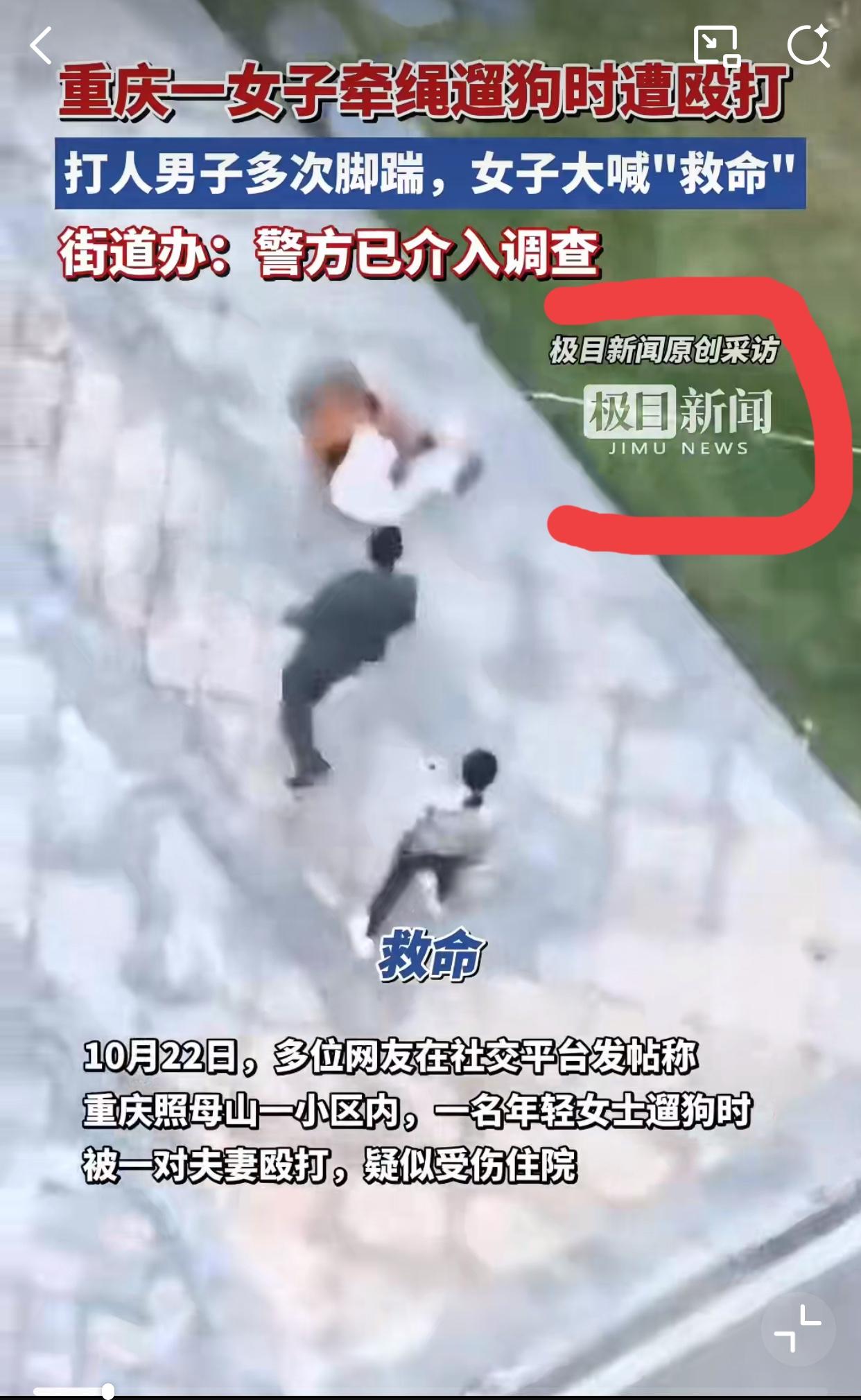 在小区内牵绳遛狗，依然逃不过被打！
事发10月22日
重庆照母山某小区内，一男子