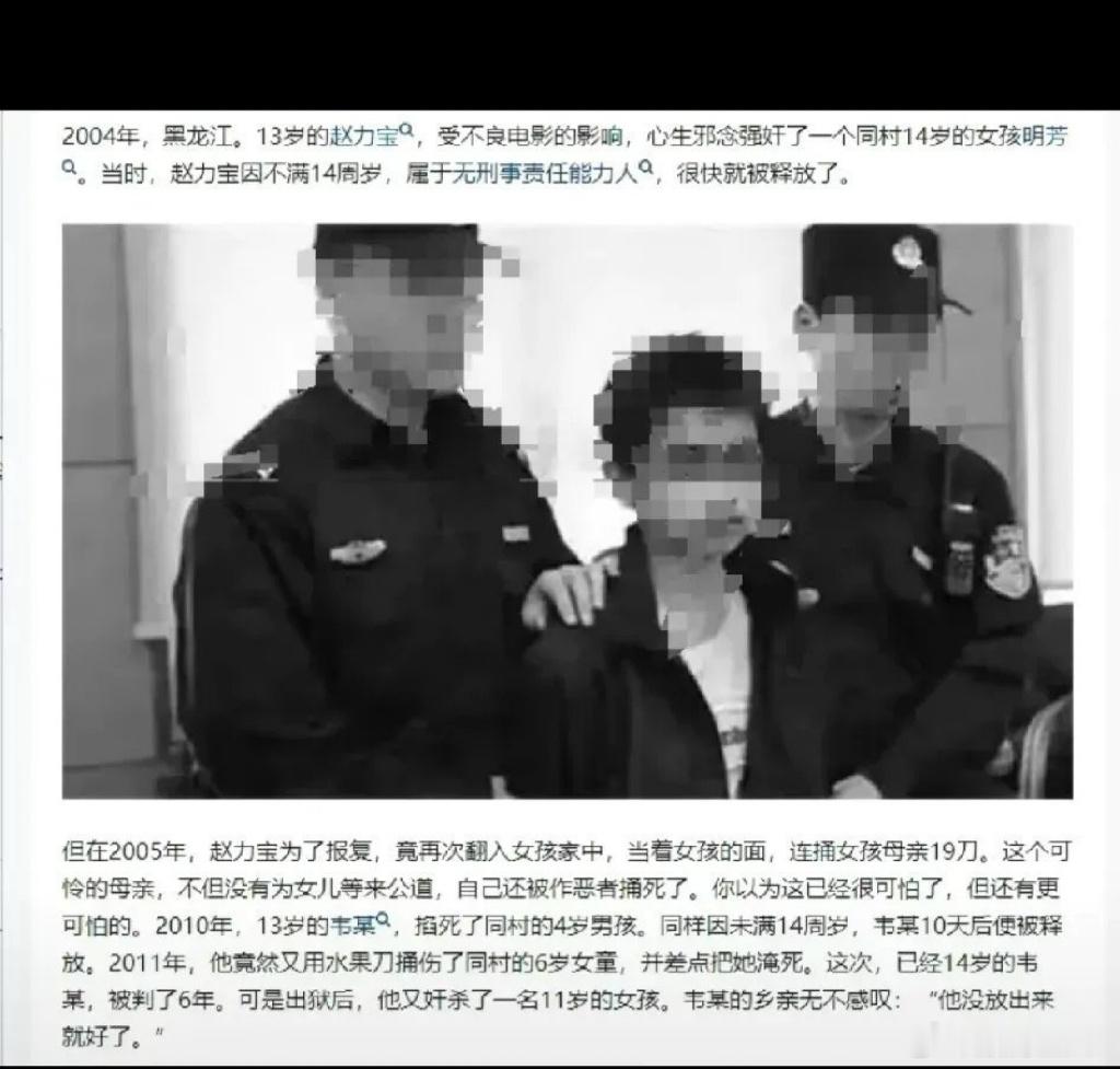 莫让年龄成为恶的庇护：由赵力宝案反思低龄犯罪之弊·默斋主人原创社会评论 + 法治