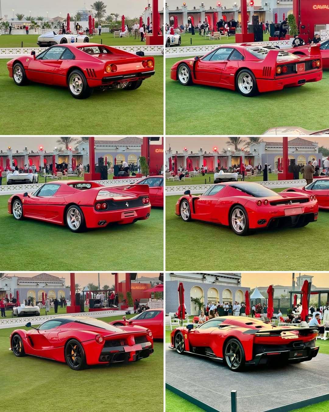 一天一张文艺照 法家旗舰～ 