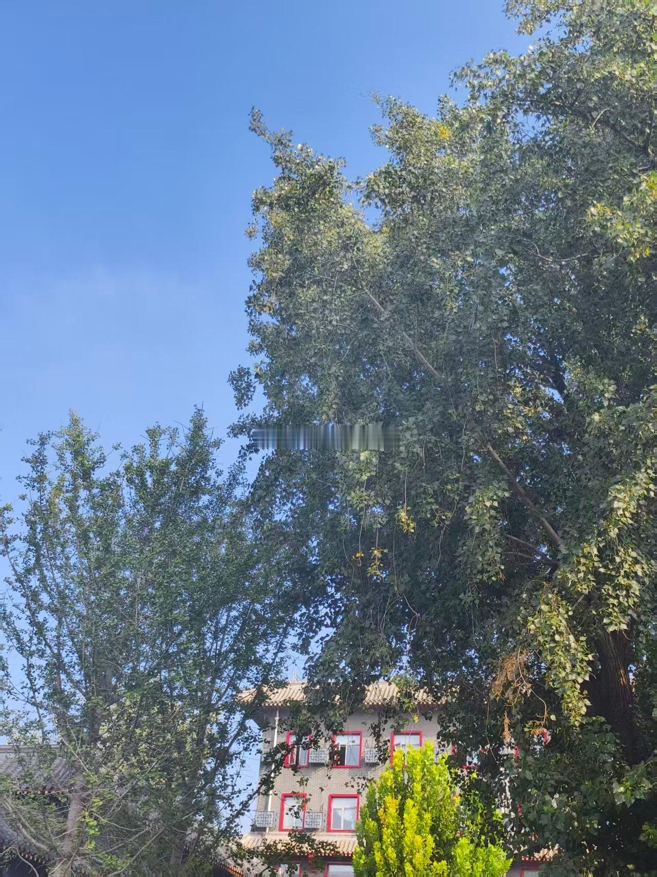 换大运一年四季，春夏秋冬每三月换一次。一个人的大运，六十甲子，每十年换一次。十年