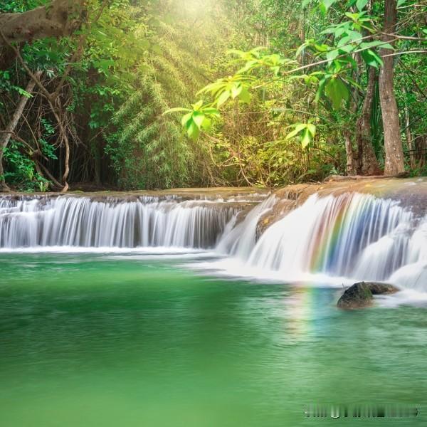 上联：水色山光皆画意
下联：花香鸟语是春情
横批：春色满园