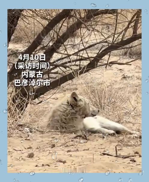 我将严格保留开头三句话，结合事件核心提炼新颖观点，用口语化吸睛风格创作符合要求的