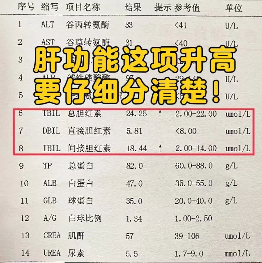 在肝功能报告单中，胆红素是非常重要的一个指标，包括总胆红素，间接胆红素...