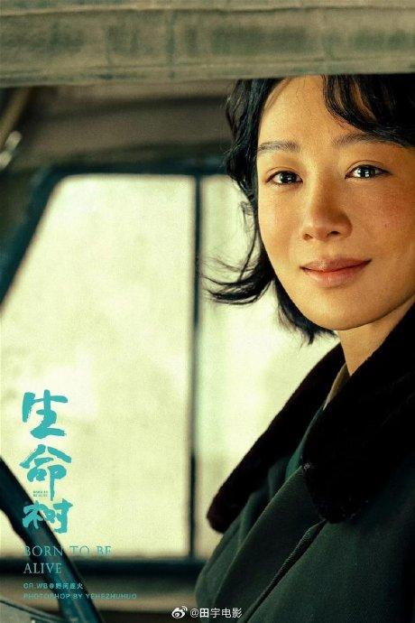 杨紫凭借《生命树》白菊拿到了白玉兰女主角，全网刷屏。剧中杨紫饰演一名守护高原的女