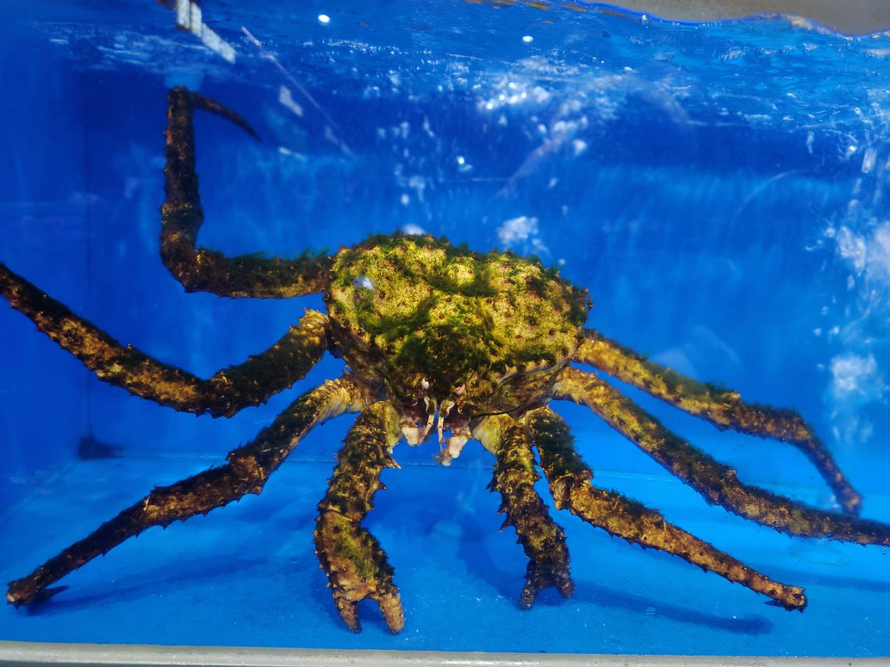 说真的，
钱这东西真挺实在的。
它能让你遇事有底气，
不用为了生计看别人脸色，