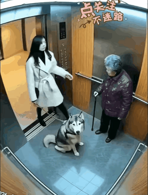 老太太的亲人知道了希望赶紧报警吧！