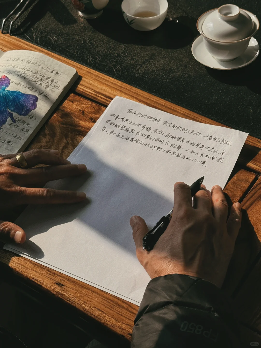 📮写给树粉，一封有温度的手写信
