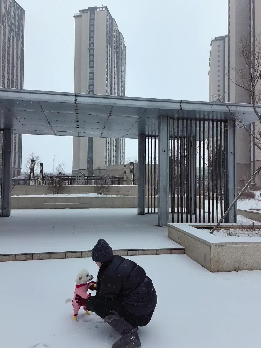 我的满分小狗🐕