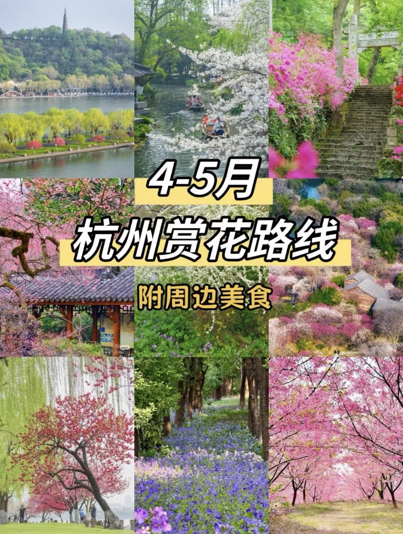 杭州发呆指南💤留给自己的周末时间