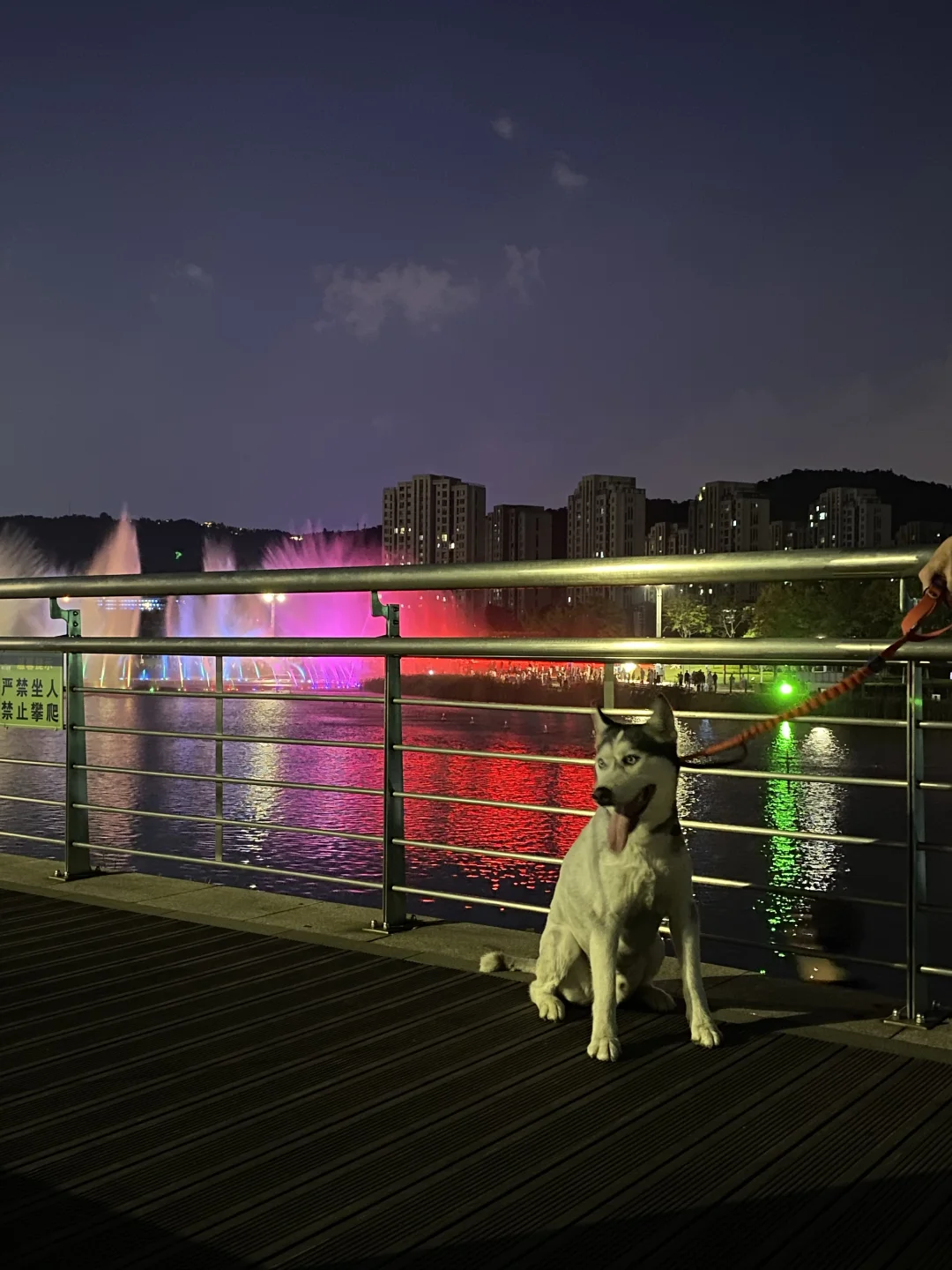 带奇奇去看音乐喷泉