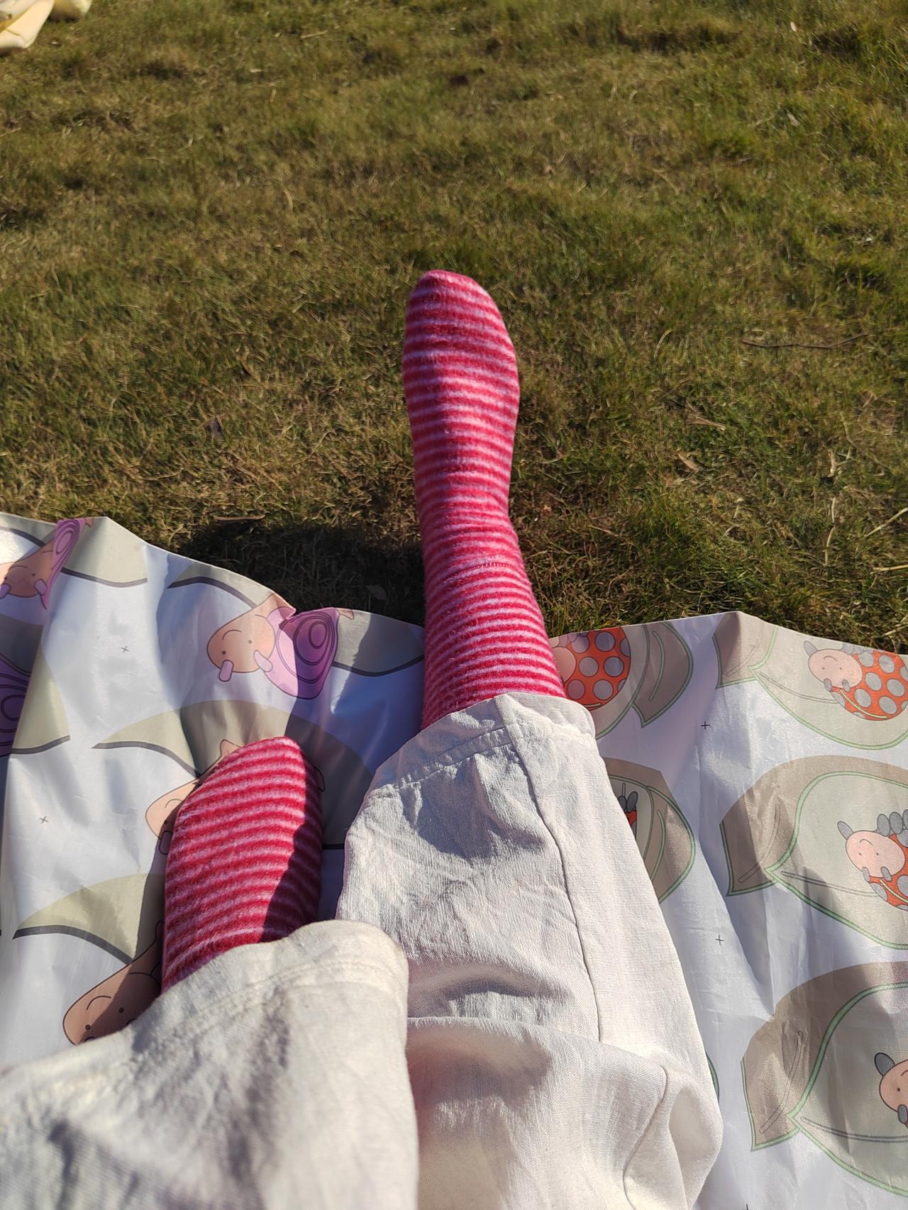 冬日生活打卡季