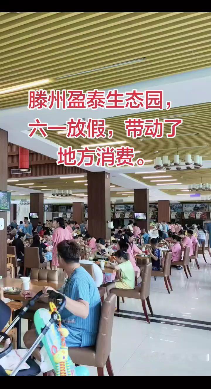 滕州盈泰生态园，六一节爆满。陪孩子度过一个愉快的节日。两个六零后奶奶说小时候哪有