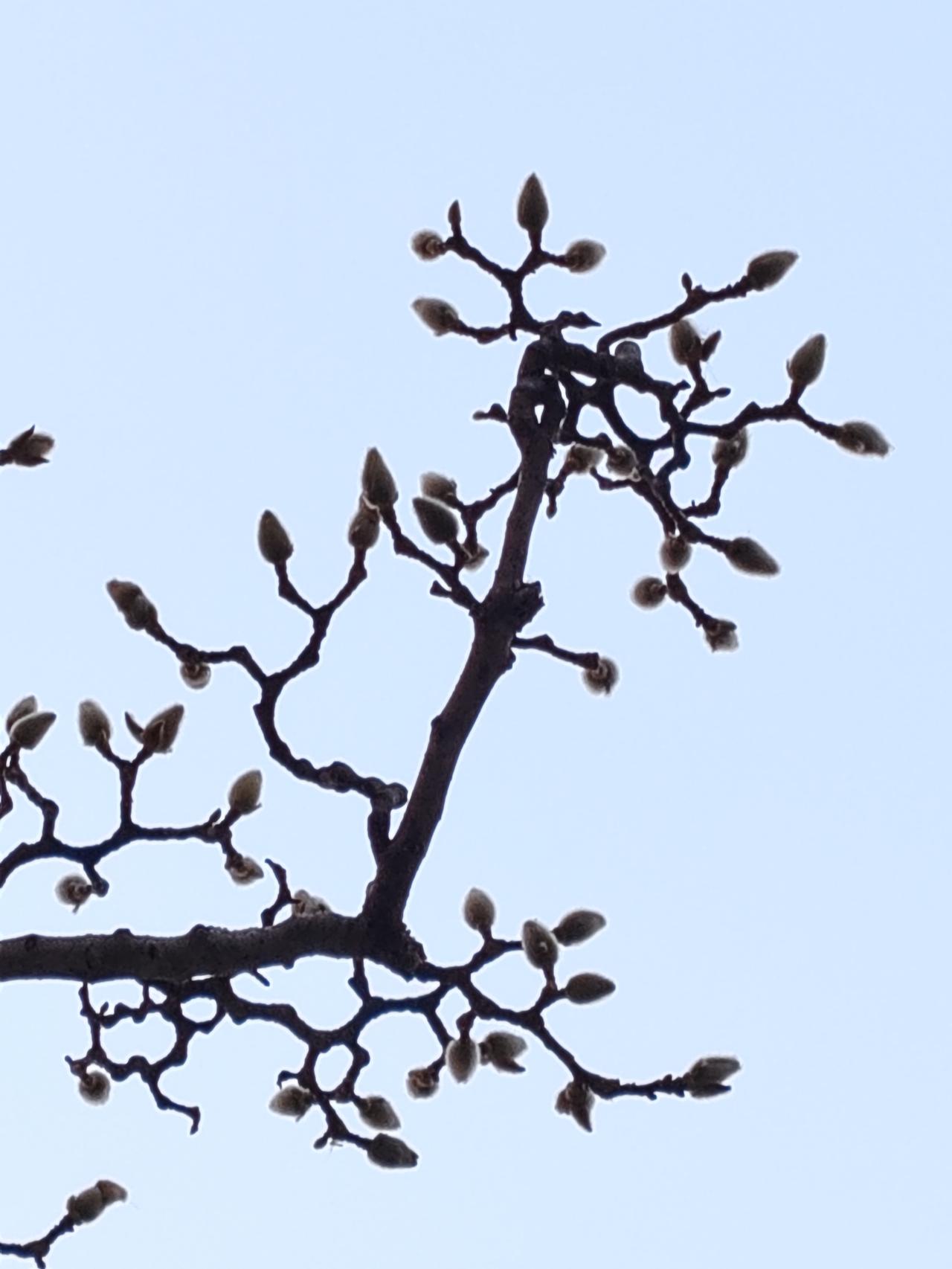 父母的根本职责便是养育子女，待一个孩子长大成人，便适时放手，接着养育下一个。待所