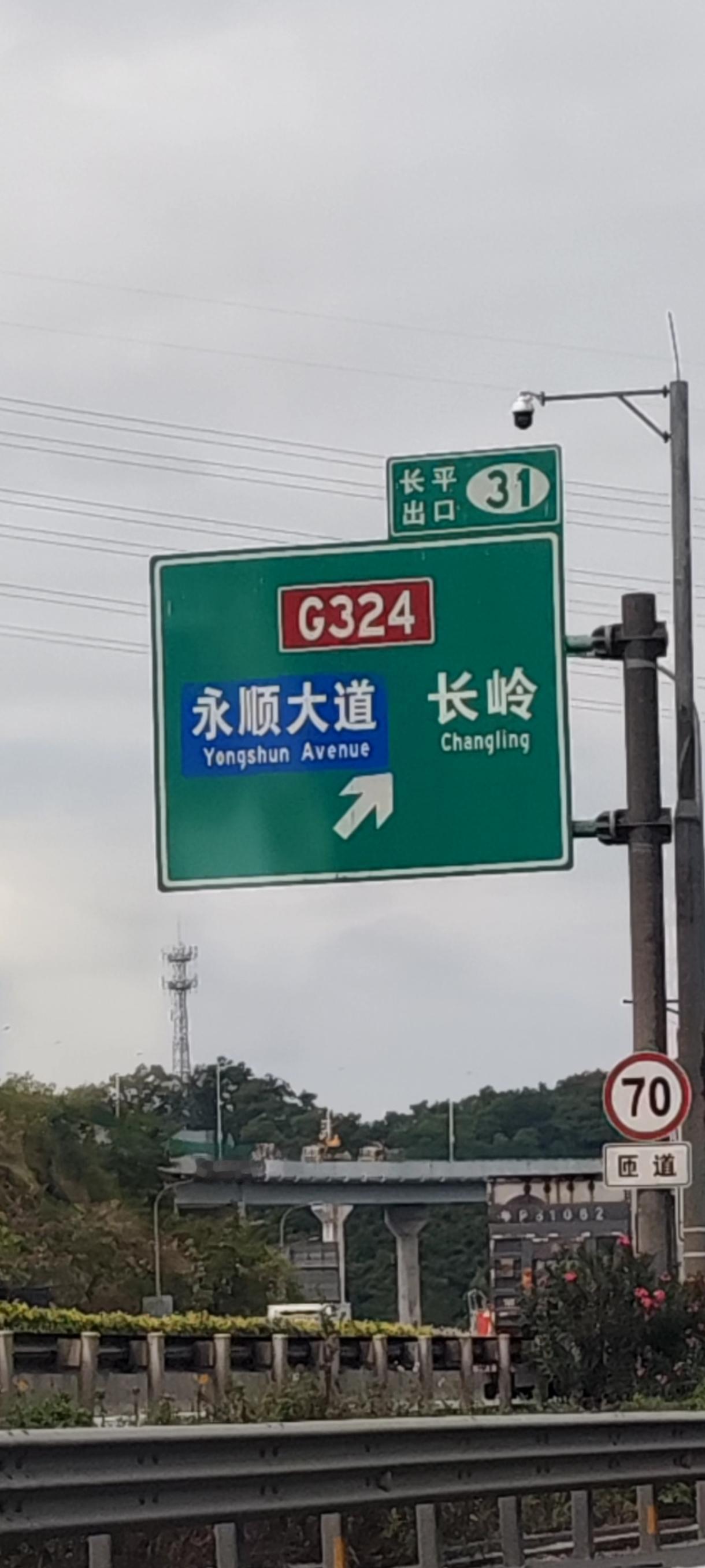 今天下午在黄埔区萝岗看到几辆香港赛马会的车，这些车是运送马的吗？马术比赛在哪里呢