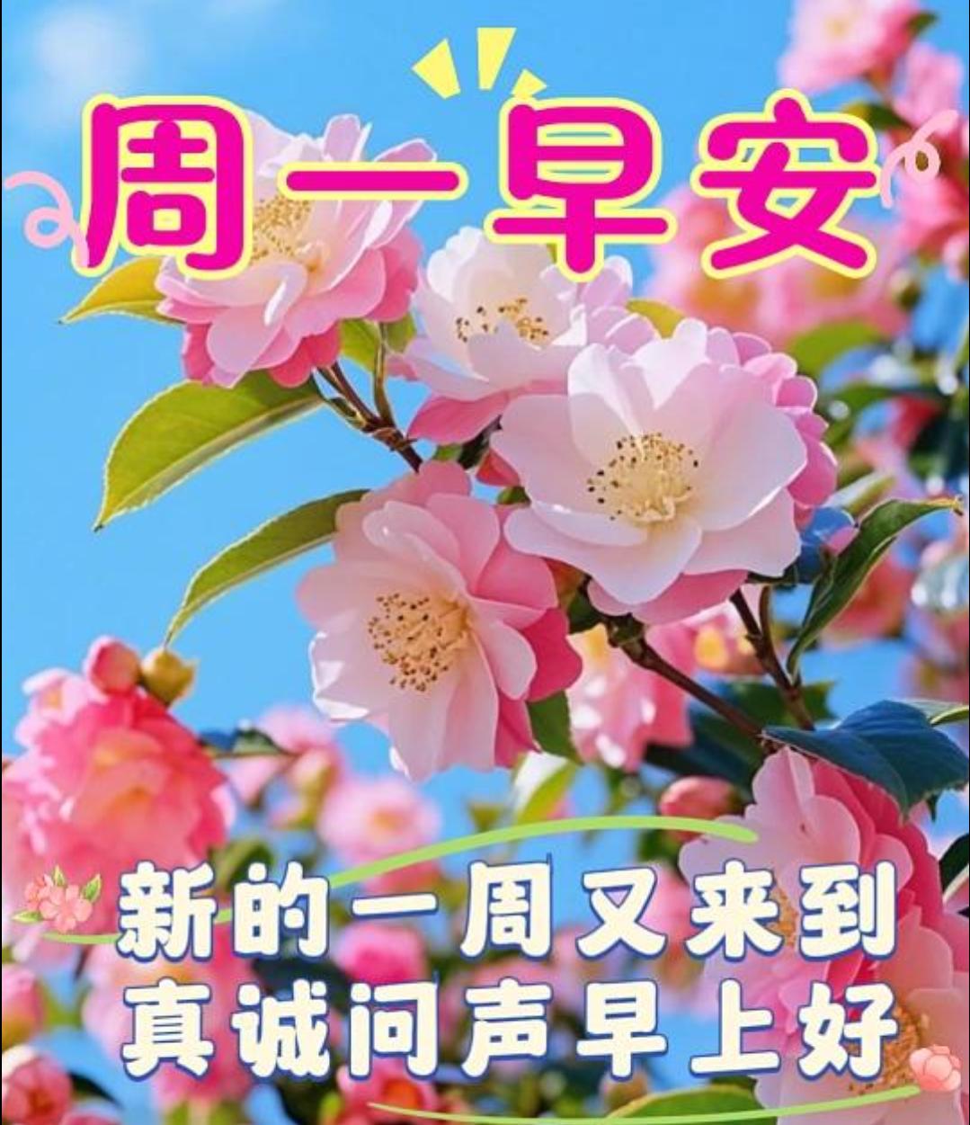 🌈早安！😊今天是2026年3月23日，农历二月初五，又一个充满希望的周一。愿