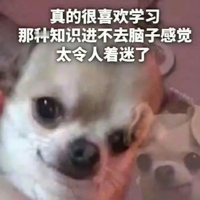 一点钟搁小区施工呢哐哐哐的吵的我心慌 ​​​