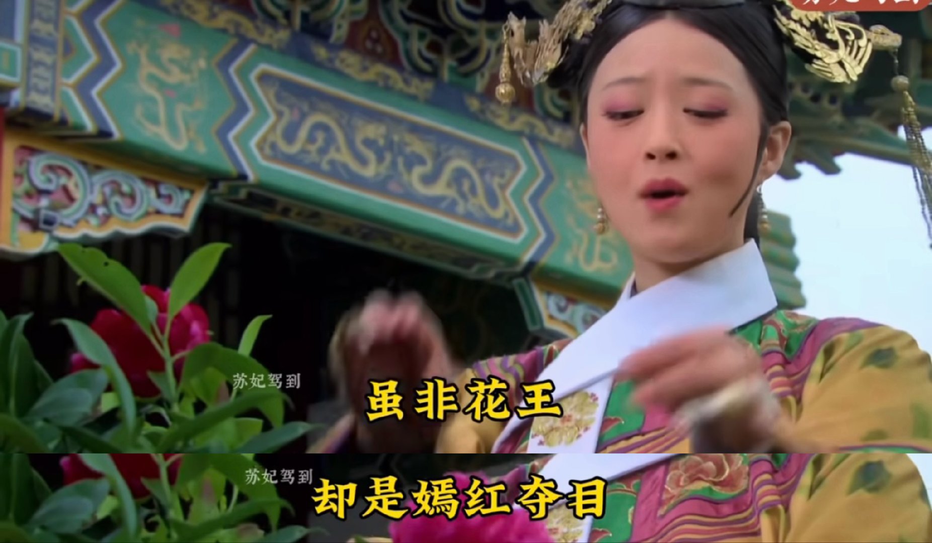 分享图片 