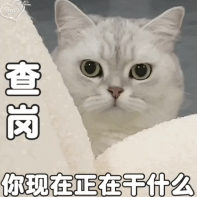 你咋还没睡？！ ​​​
