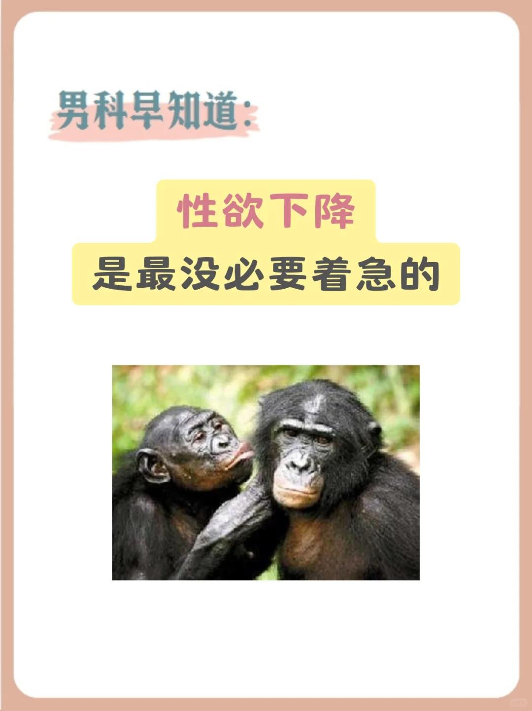 【欲速则不达，顺应身体节奏，方是养生之道！】





👉性欲者，气血为基，情