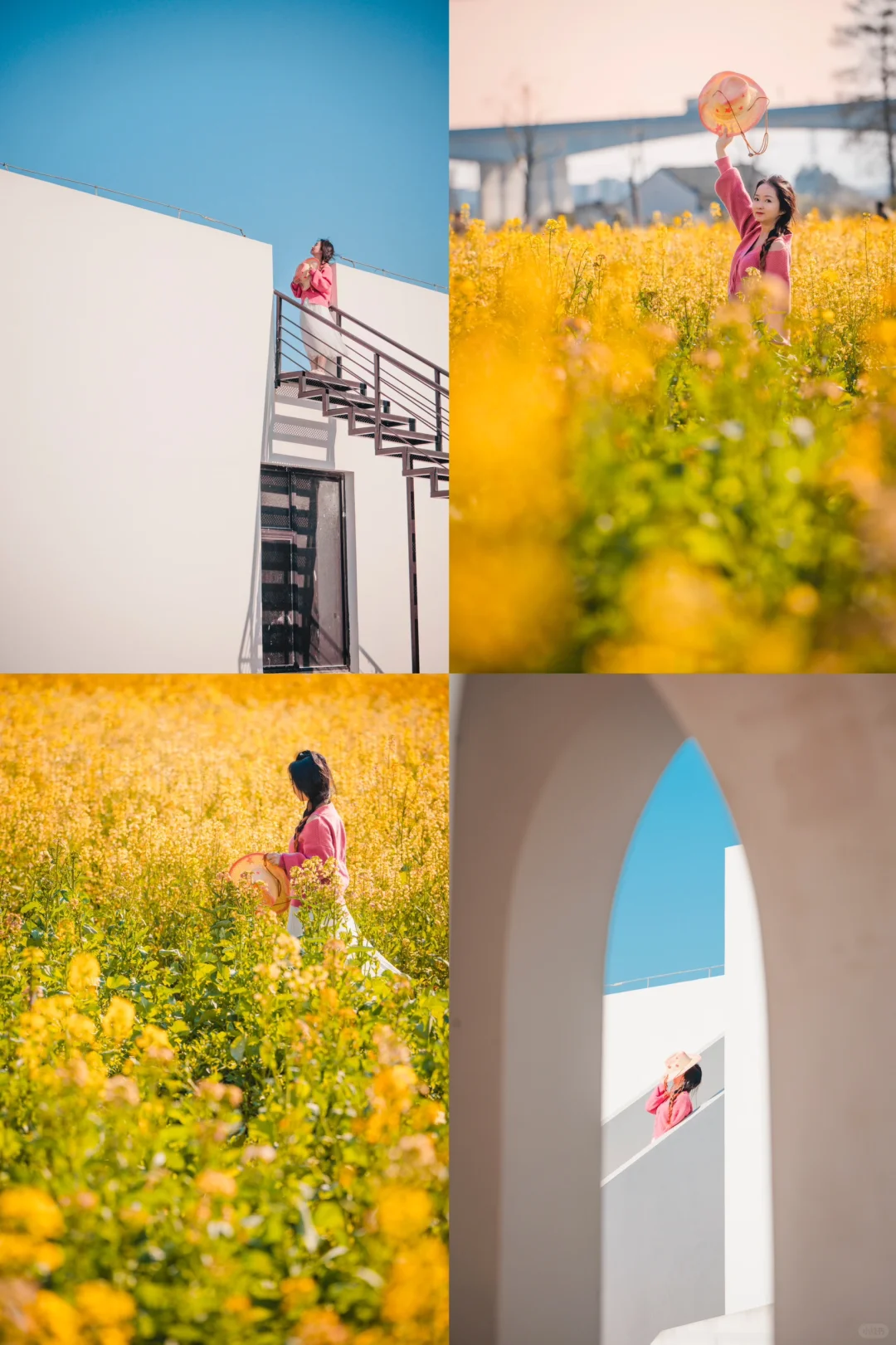 🤍💛🧡当纪念碑谷遇上七彩油菜花田‼️