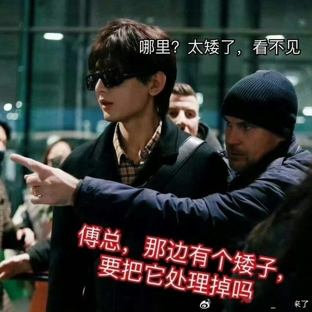 成毅 顶级扛剧生夯爆了！值得最好的一切！任嘉伦实力 扛萝卜，多吃点，康康能不能再