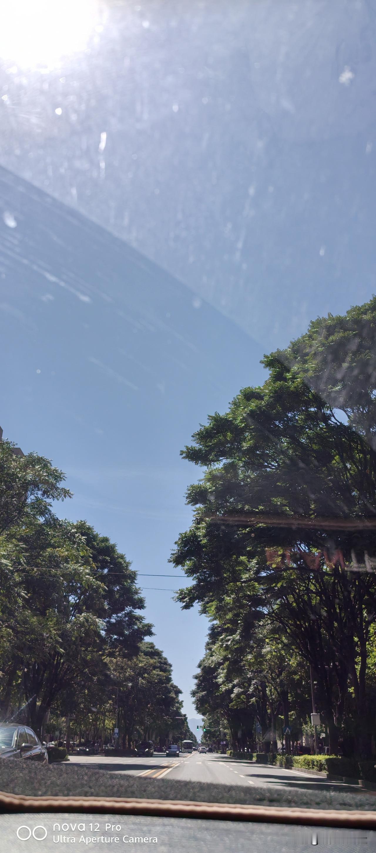 夏日生活打卡季