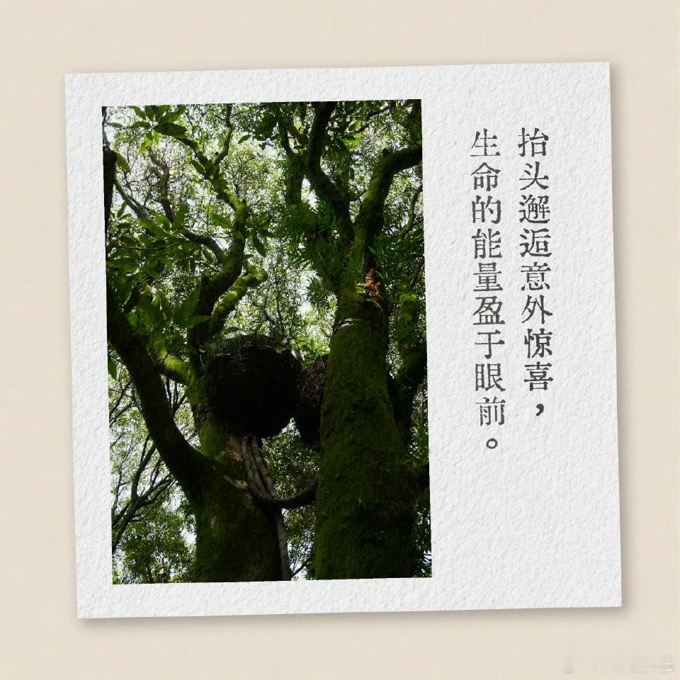 赵丽颖捕捉生活热爱生活的赵丽颖 ​赵丽颖捕捉生活，是热爱生活的丽颖啊！！！ ​​