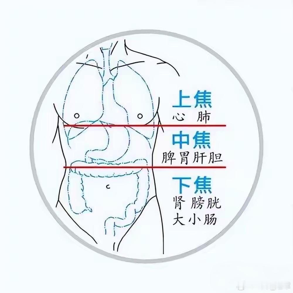 中焦一通，百病全消！分享一碗的“健脾汤”，调中安和中医讲：“中焦如沤，脾胃为枢，