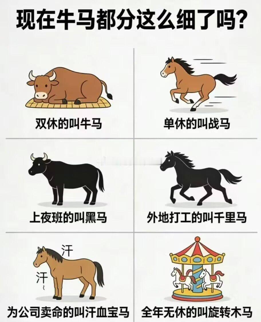 关于牛马的细分……热点观点