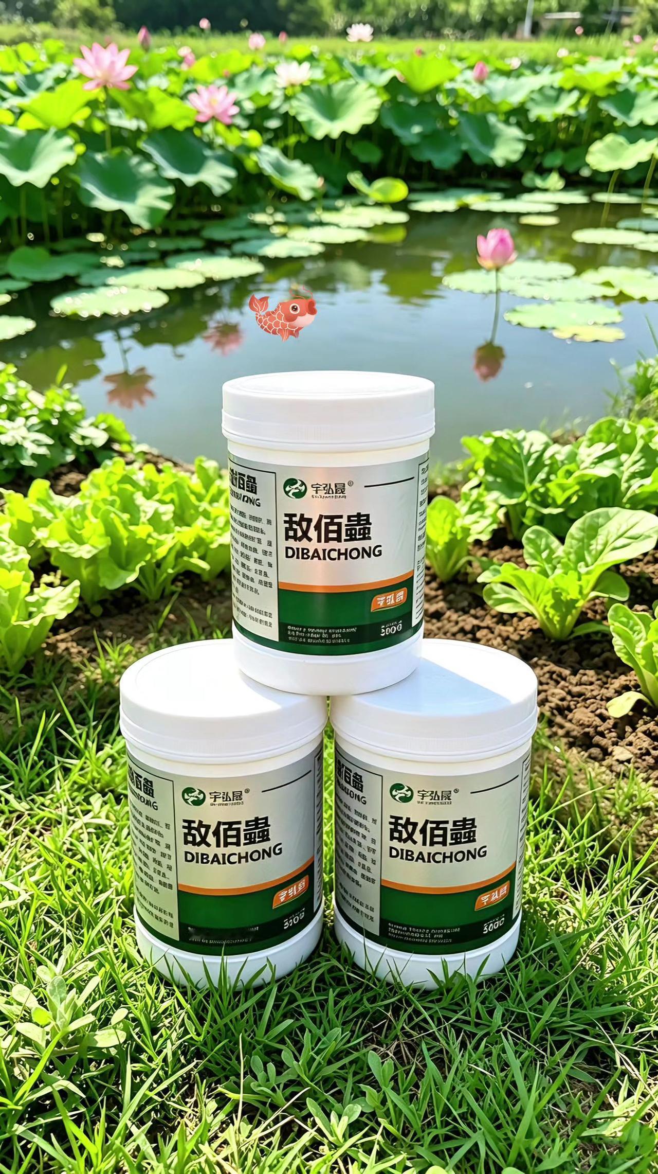 敌佰蟲 鲢鱼 鲤鱼 草鱼 鱼塘养殖