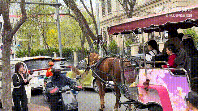 劳动载具把环卫大爷的劳动工具吃了！ 