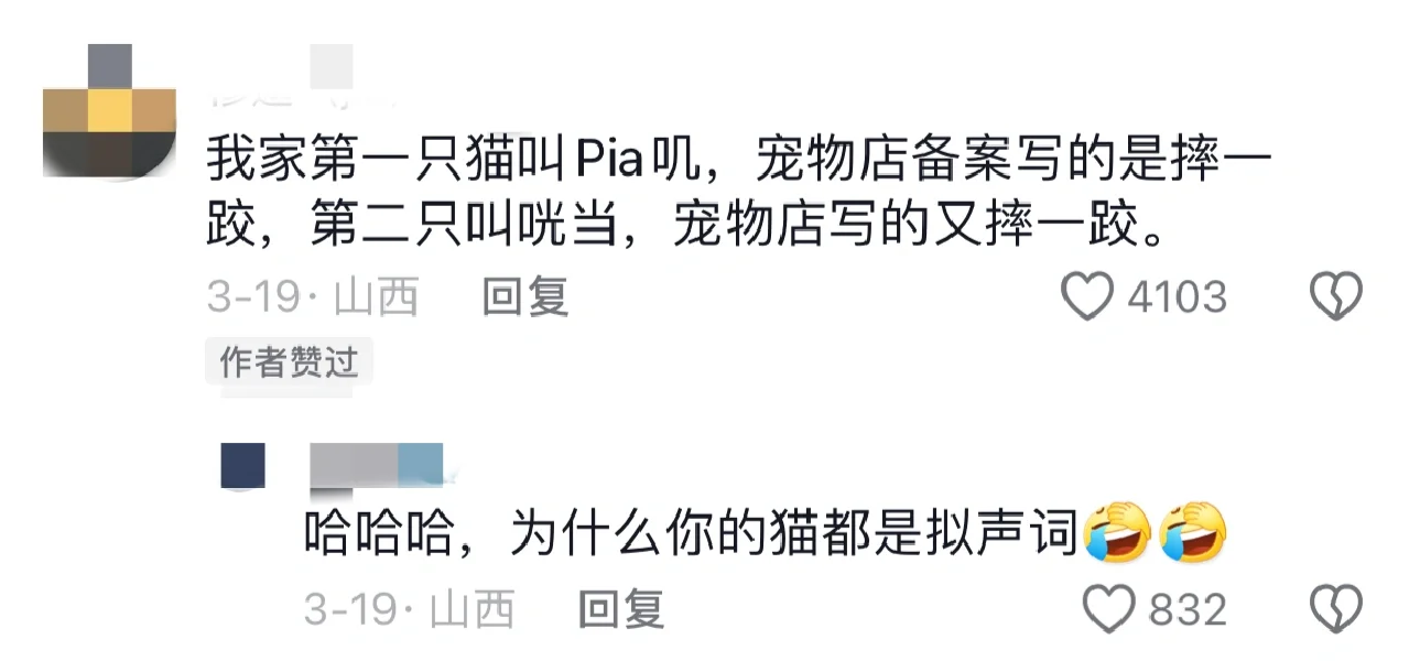 宠物：我什么时候改名字了？