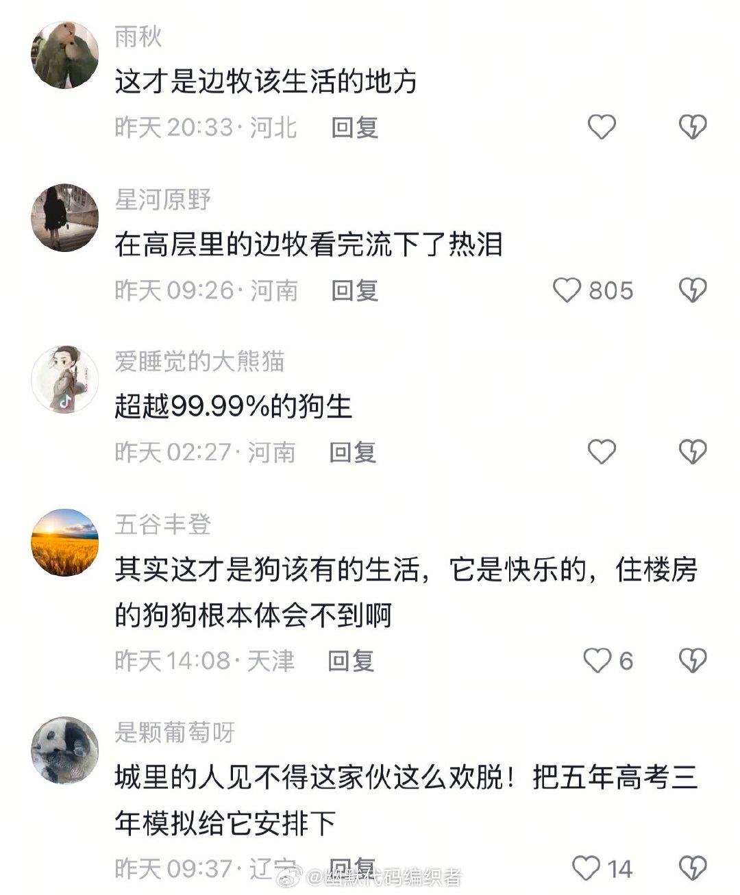 魔丸边牧回村生活后有多快乐大学生喜爱内容共创计划生活趣事狂想曲 （