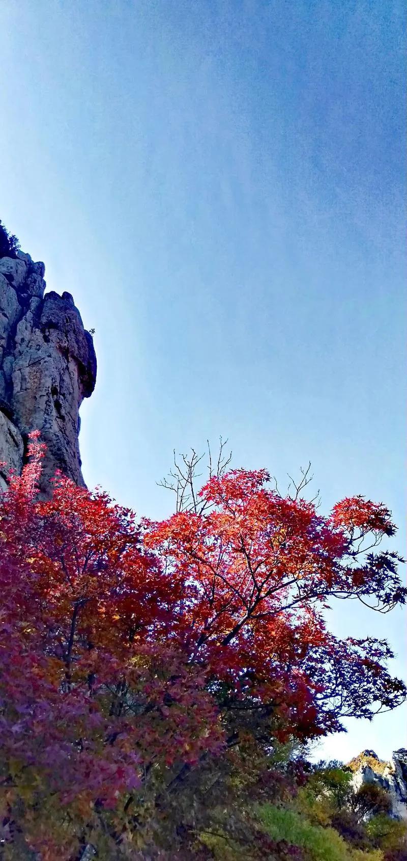 2025年8月2日，北票大黑山旅游景区将开启一场避暑特惠活动，一票畅玩绿野仙踪、