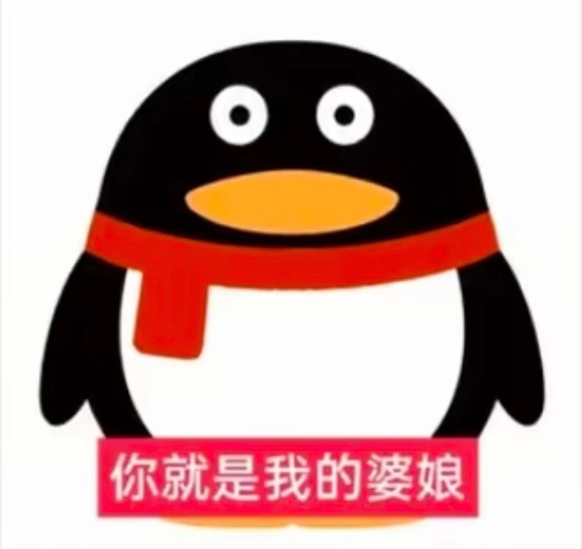 此芝士又送了fls给我