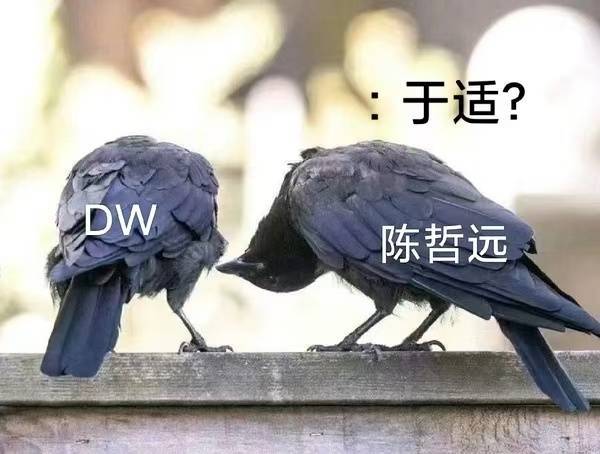 邓为回应被陈哲远认错还有连续剧哈哈哈，被陈哲远笑晕了 