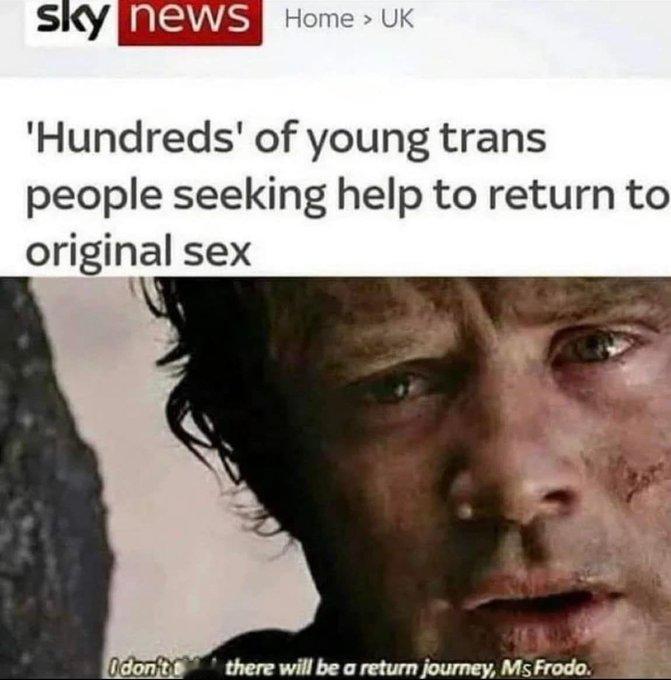 “数百名年轻的跨性别者寻求帮助，想要恢复到原来的性别。” 图片下方的文字则是模仿