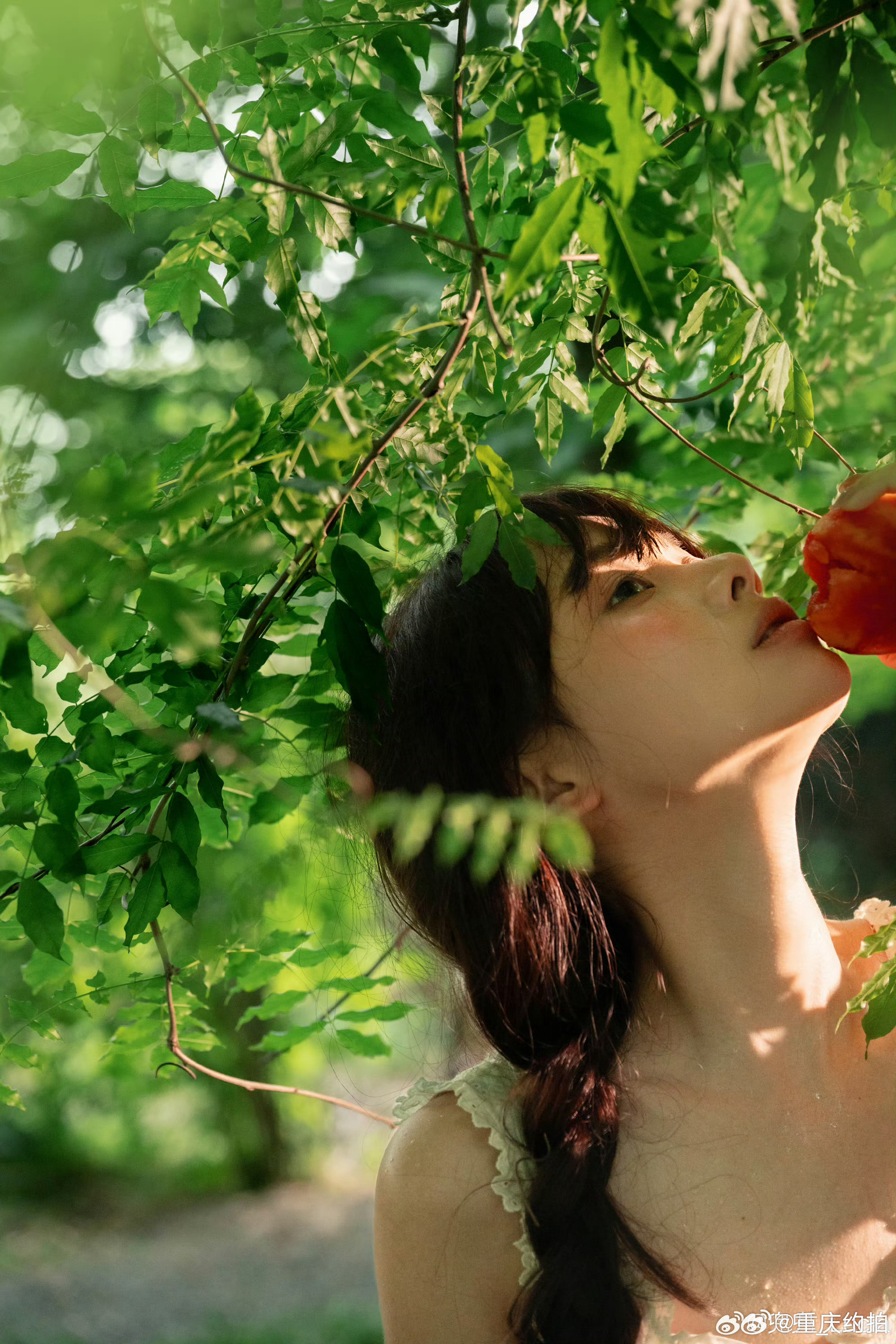 潮湿的梅雨季 我躲在我的小森林🍅🍃摄影：
