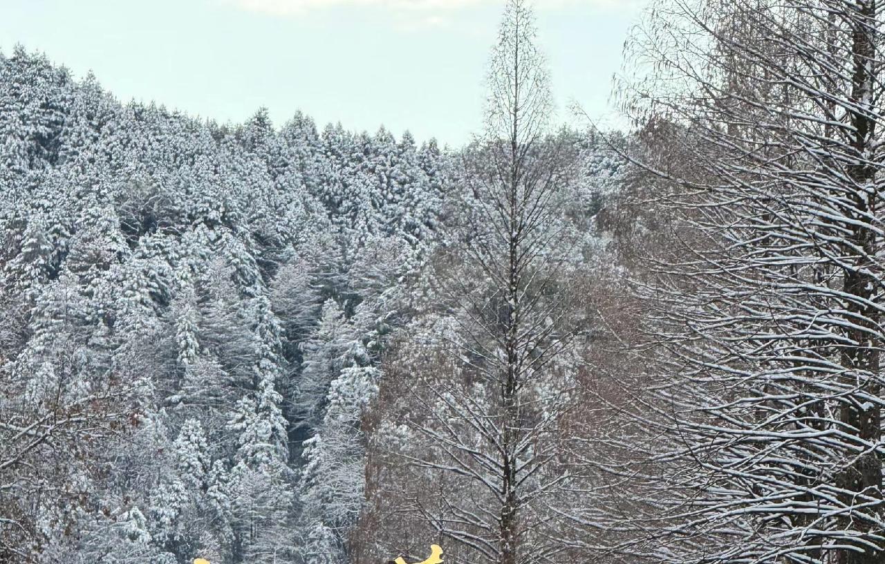 今年冬天的不同冷冷冷，今年冬天超级冷，与往年同期值对比冷了很多，黑龙江北部最低温